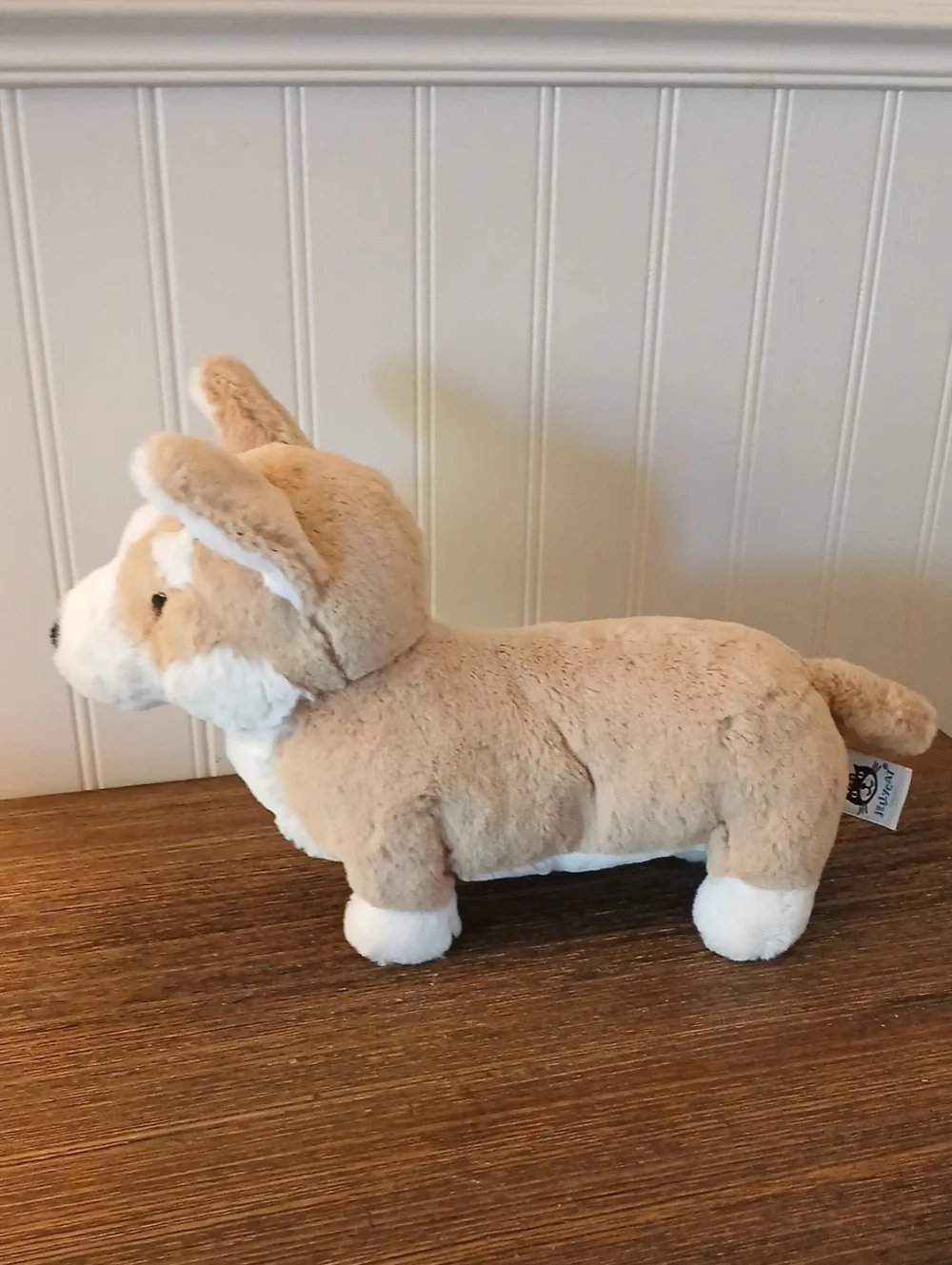 Jellycat Betty Corgi soft Tan/white Plush Dog Corgi Stuffie, Dog Plusie